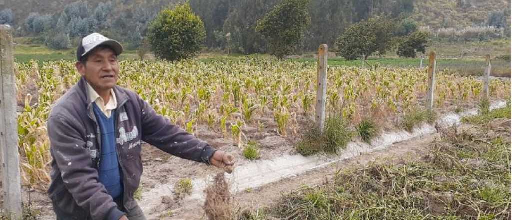 Félix, Righi y Lizana pidieron ayuda a Nación para los productores mendocinos