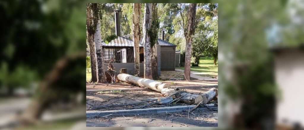 Daños por los vientos de más de 100 kilómetros por hora en San Rafael