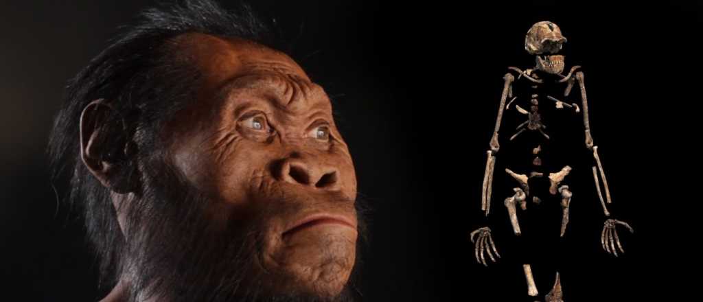 ¿Es el Homo Nadeli el eslabón perdido de la evolución humana?