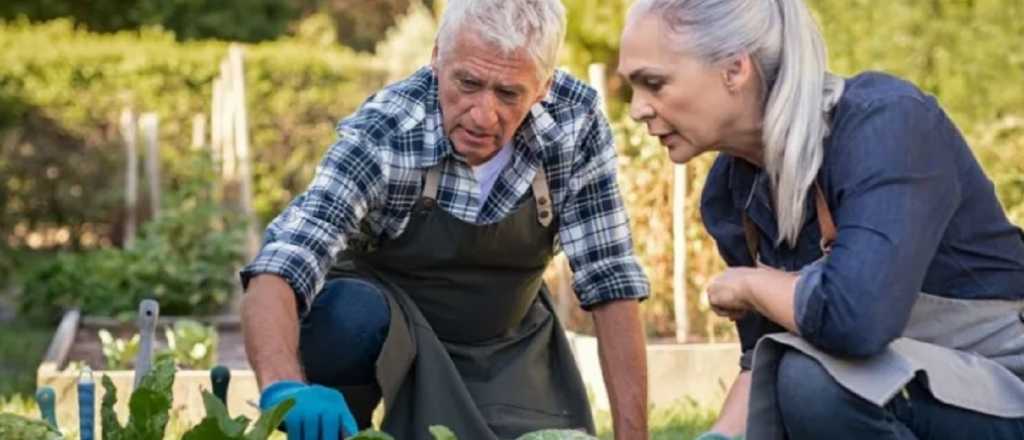 Los ocho secretos para tener un jardín más atractivo 