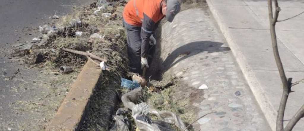 Comenzaron a limpiar la mugre de la Costanera