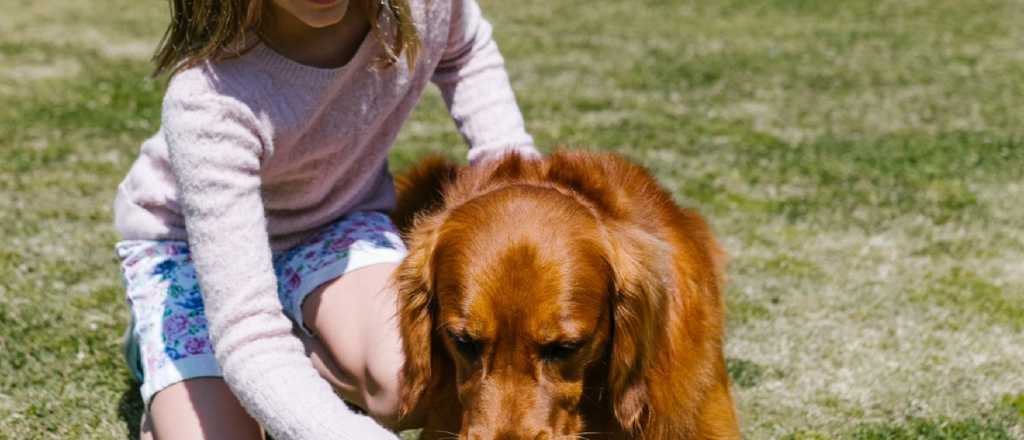 ¿Cómo manejar nuestro cuerpo ante nuestros perros?