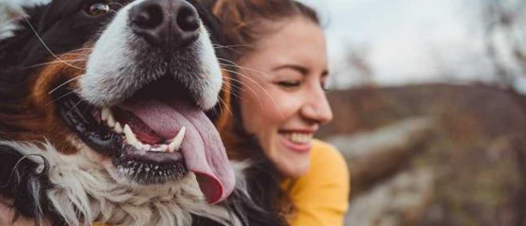 Estas son las razas de perros que te acompañarán por menos tiempo