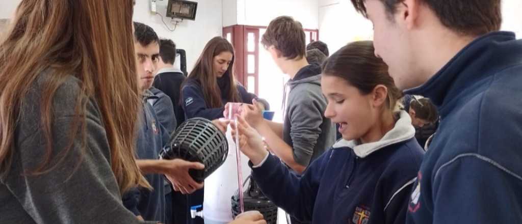 Alumnos mendocinos elaboraron un vino en honor a la Gesta de Malvinas