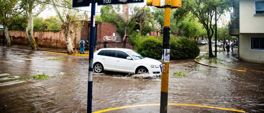 El saldo de la tormenta: árboles caídos, casas anegadas y techos caídos