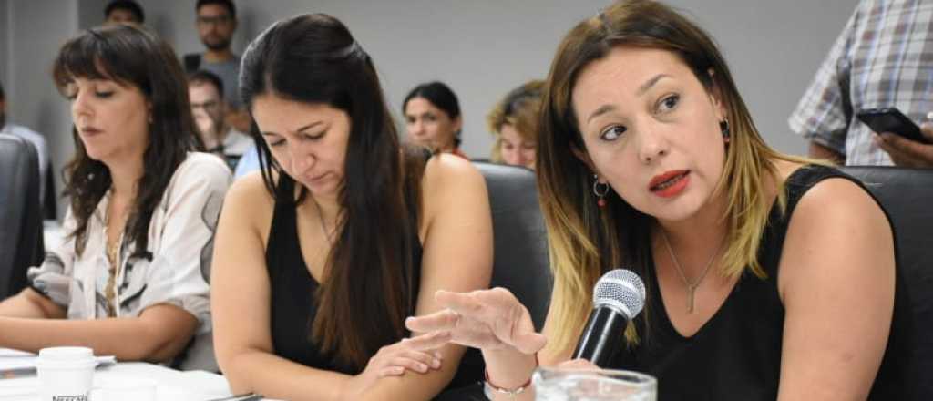 Sigue el debate del proyecto Cerro Amarillo en el Senado