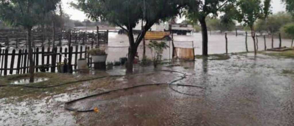 Fuerte tormenta: viento, lluvia y granizo en el Gran Mendoza