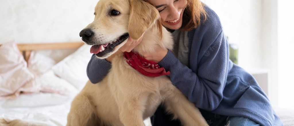 ¿Cómo los perros eligen a sus dueños? 