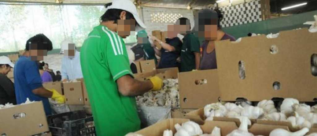 Guaymallén: hallaron a dos niños trabajando en empaque de ajo 