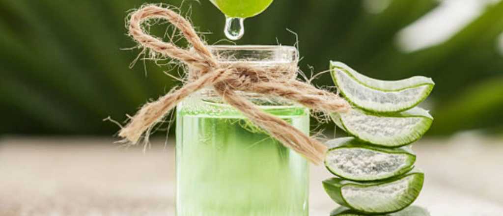 Agua de aloe vera, el truco casero para desintoxicarse después de las fiestas