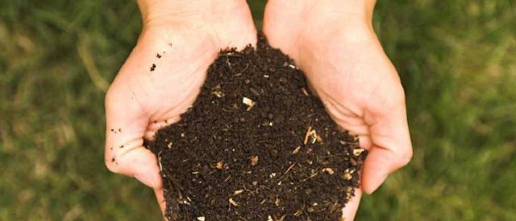 Nueva York legalizó el compostaje de restos humanos: de qué se trata