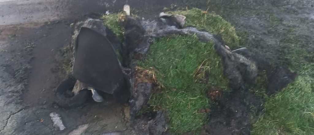 Vándalos incendiaron un contenedor de basura en San Martín