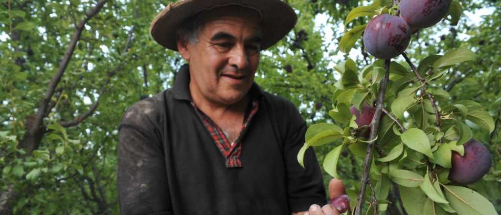 Recuperagro: cuándo darán el segundo pago a productores mendocinos