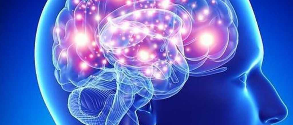 Hábitos para que el cerebro tenga más energía