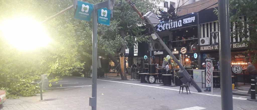 Se derrumbó una luminaria y un árbol en plena Peatonal 