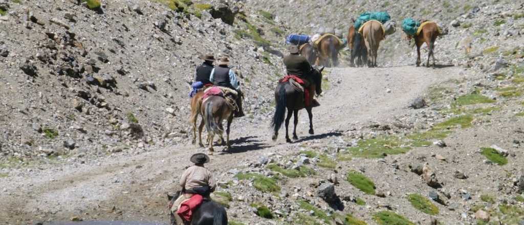 Una turista murió en una cabalgata que había salido desde El Manzano