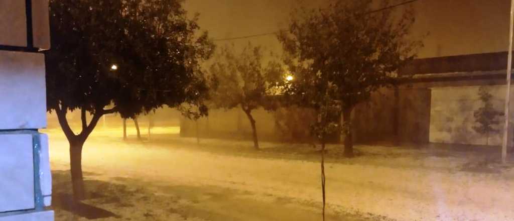 Viviendas con daños y hectáreas afectadas por el granizo en el Este de Mendoza