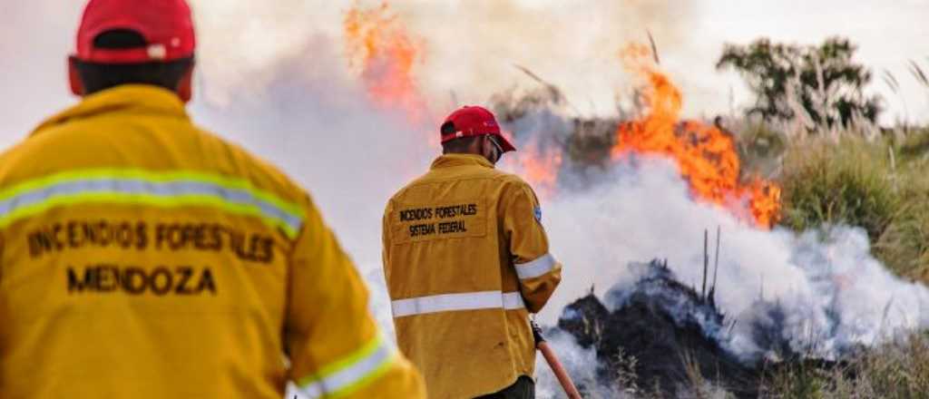 Desde el sábado combaten incendios forestales en General Alvear