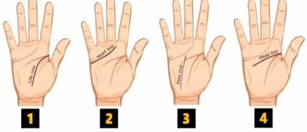 ¿Qué dicen las líneas de la palma de tu mano sobre tu futuro?