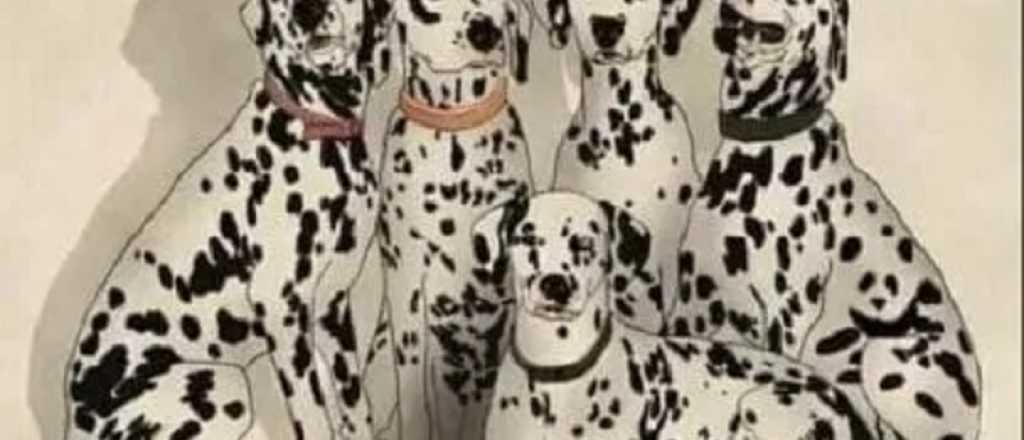 Reto visual: ¿podés encontrar el panda escondido en la imagen?