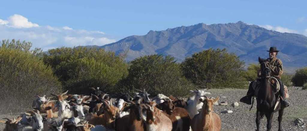 Reconocen la posesión de tierras mapuches en el Sur mendocino