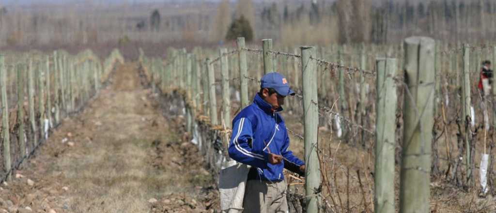 Ampliaron la emergencia y desastre agropecuario en cuatro departamentos