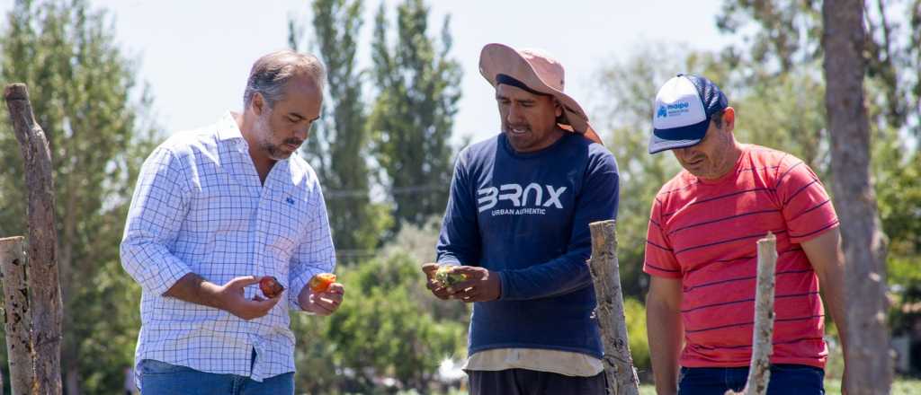 Se creó una mesa de emergencia por los daños de la tormenta en Maipú