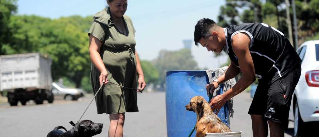 Pronóstico: así estará el tiempo este domingo en Mendoza