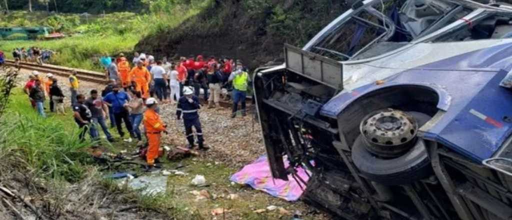 Una argentina y su hijo de 3 años murieron en Brasil: cayó un micro al barranco