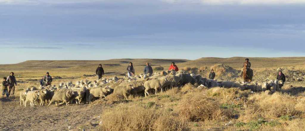 El kirchnernismo atropella otra vez a nuestra provincia, su historia y la Constitución