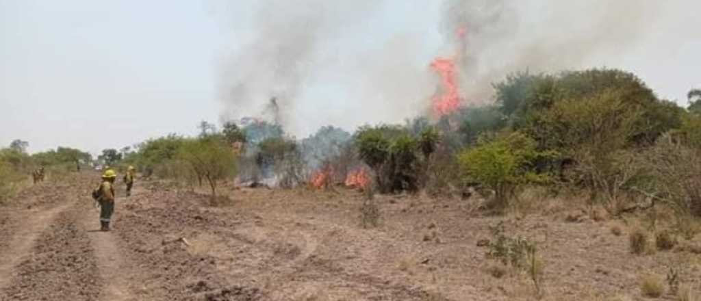 Hay incendios forestales activos en siete provincias