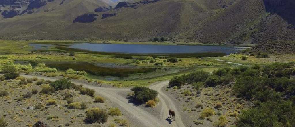 La medida para que los "mapuches" no se apropien de El Sosneado 