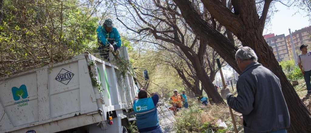 Feriados de Carnaval: cómo funcionarán los servicios en Ciudad