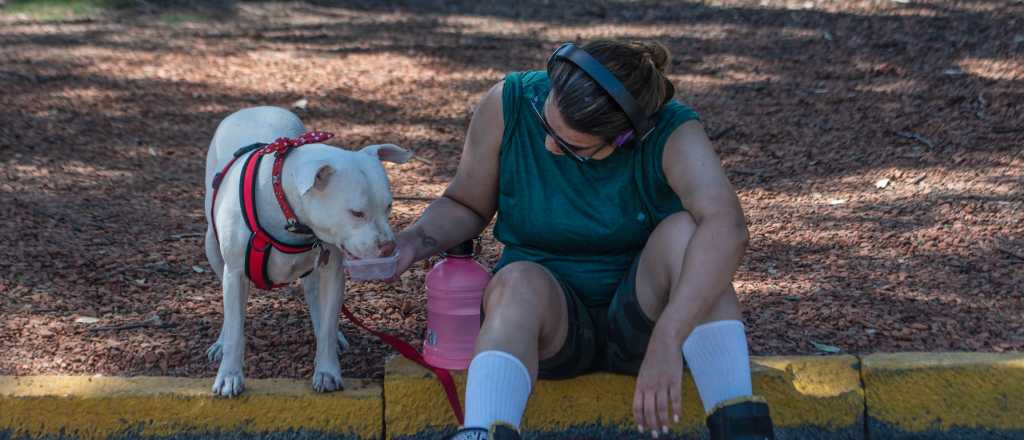 Domingo con leve descenso de temperatura en Mendoza