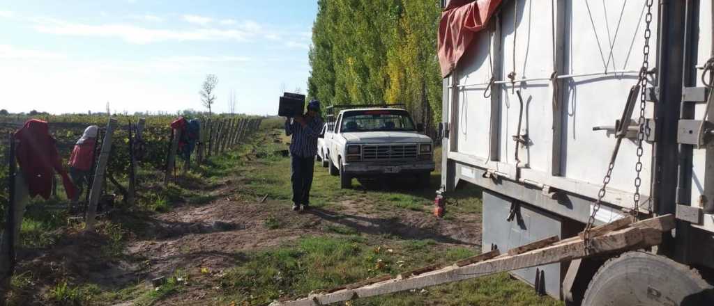 Un obrero murió tras ser aplastado por un camión en Tunuyán