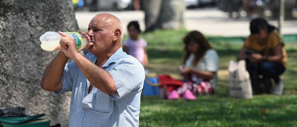 Pronóstico: Mendoza vivirá una de las vendimias más calurosas