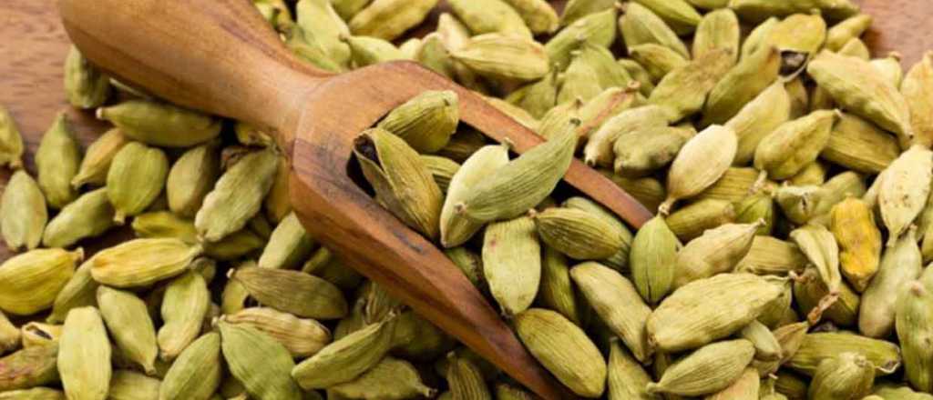 Cardamomo: qué es y para qué sirve