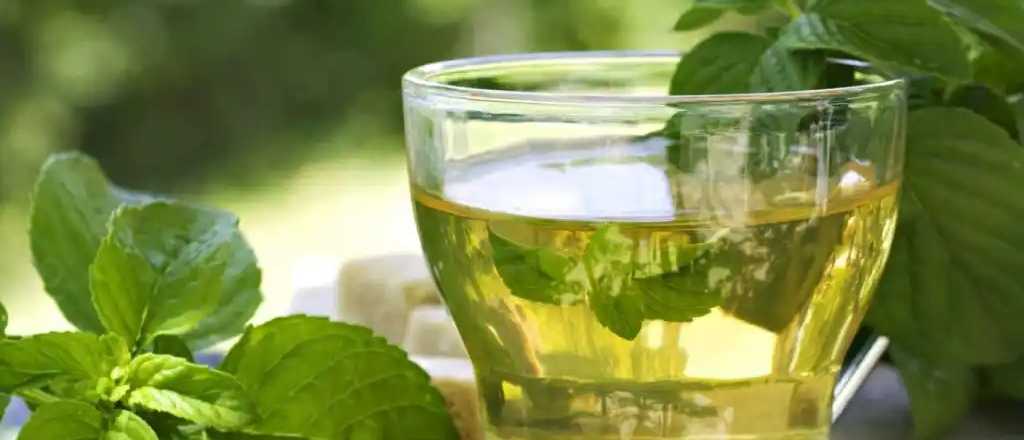  Las 4 bebidas naturales que te ayudarán a bajar de peso