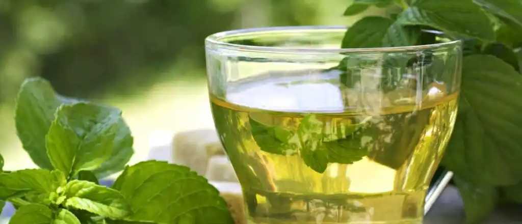 Las 4 bebidas naturales que te ayudarán a bajar de peso