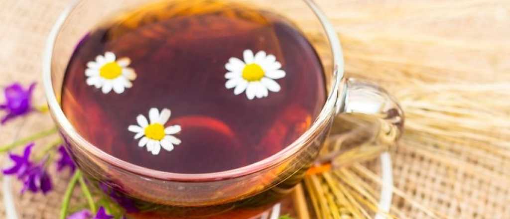 Cómo relajarte con un té de lavanda y manzanilla