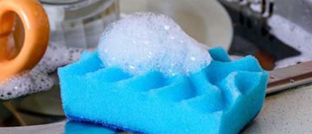 ¡Atención! Por qué es importante desinfectar tu esponja de cocina
