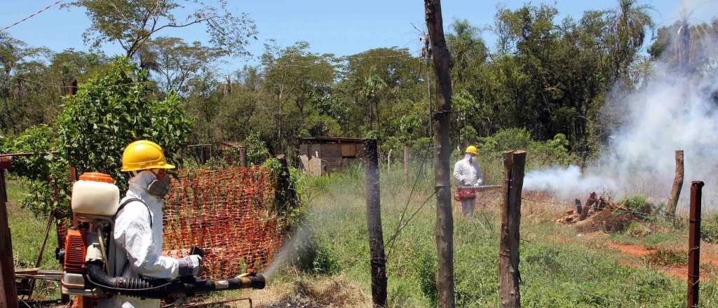 Mendoza detalló la preocupación por casos de Dengue 