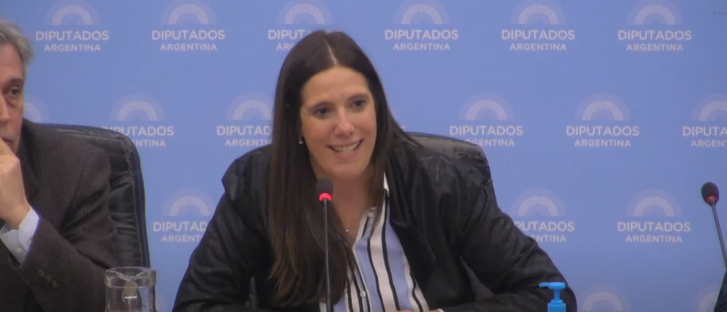 Una diputada nacional K denunció a Suarez y le contestaron duro