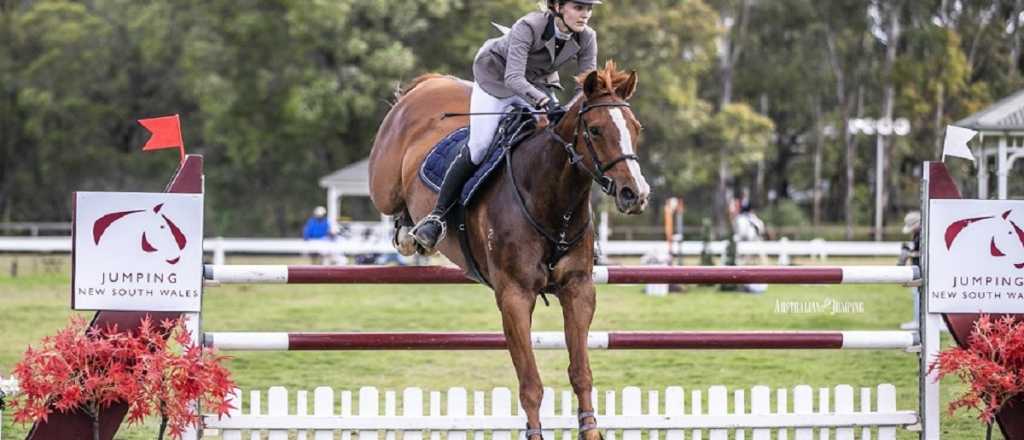 Murió una reconocida modelo aplastada por su caballo