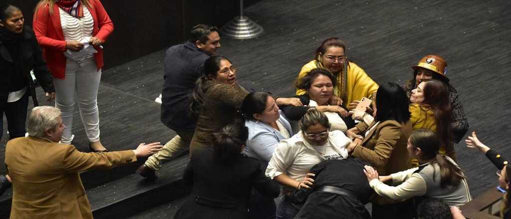 Video: legisladoras bolivianas se agarraron a las piñas en el parlamento 