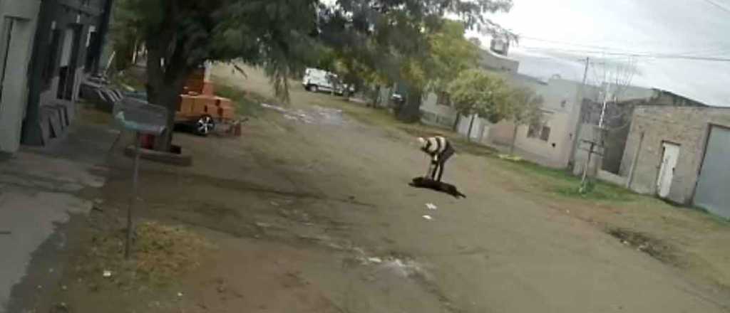 Video: golpeó a su perro varias cuadras hasta dejarlo inconsciente