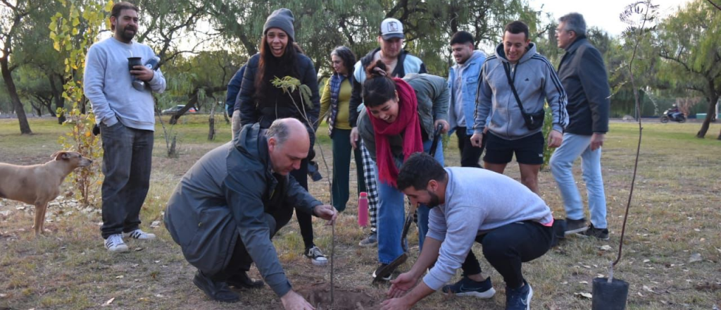 Campaña eco: Carmona propone plantar 1 millón de árboles en Mendoza