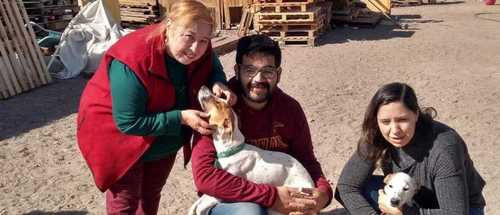 Diez años cuidando perros mayores: la historia del hogar "Ángeles de 4 Patas"