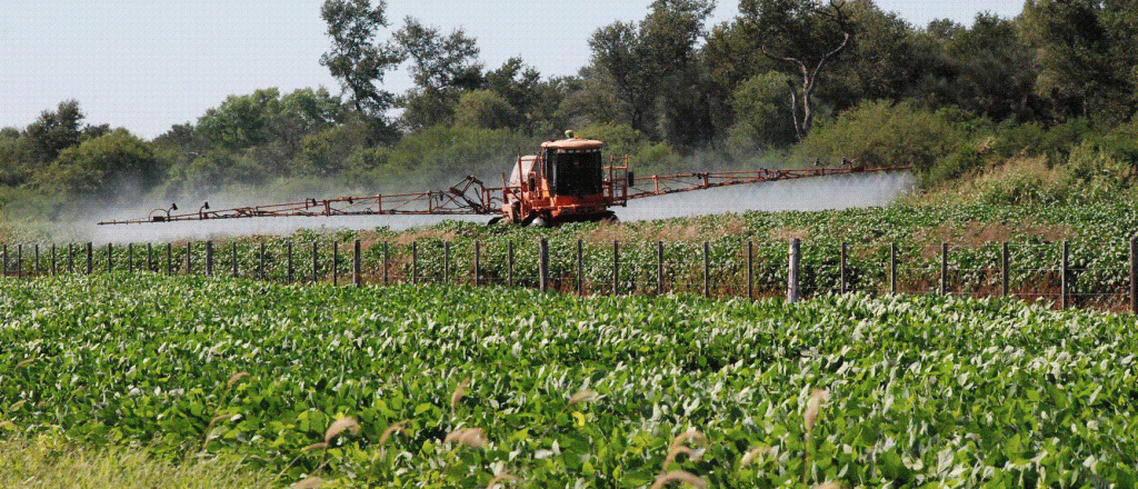 Confederaciones Rurales Argentinas trató a los veganos de ignorantes