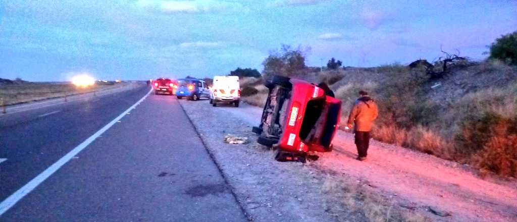 Dos autos atropellaron a un caballo en la Ruta 40, en Luján